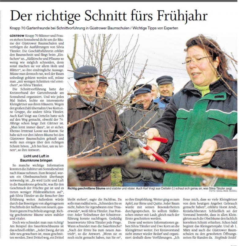 Zeitungsartikel SVZ